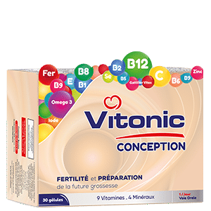 Vitonic Conception Comp.sec B/30 (B/30)